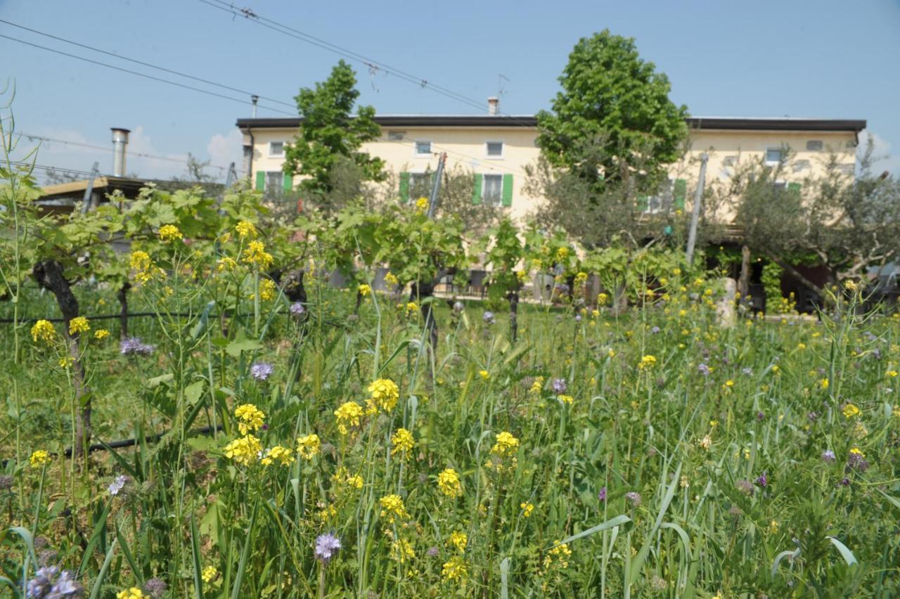 Agriturismo Sol De Montalto Villa Rivoli Veronese Exterior photo